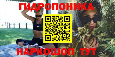 apvp Новодвинск