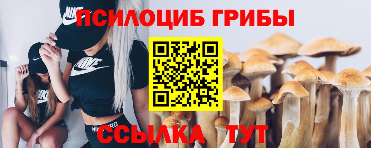 Псилоцибиновые грибы MAGIC MUSHROOMS  Вход с VPN  даркнет сайт  Галлюциногенные грибы Cubensis  Улан-Удэ 